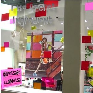 The Secret Ingredient. @PetsaBellaMetsa